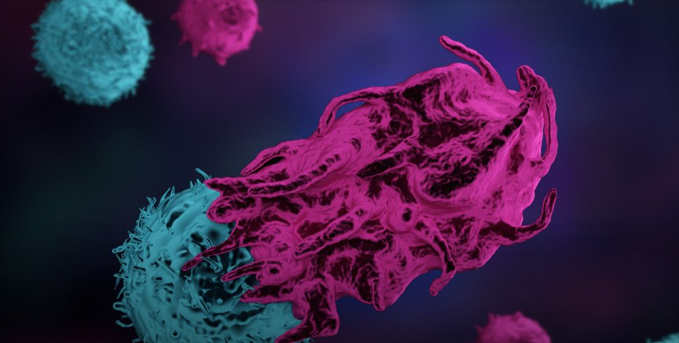 کمک به توسعه ایمونوتراپی توسط کتابخانه‌های مصنوعی  CAR